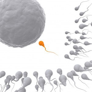 Fertility acupuncture for IVF