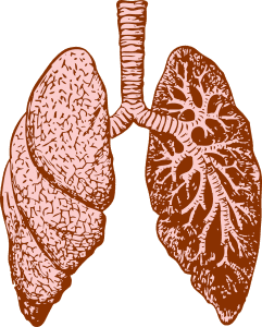 Lungs and Large Intestine in Chinese Medicine